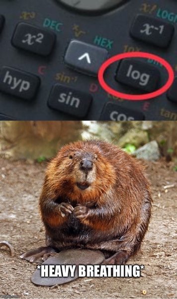 wuQTmja.jpg