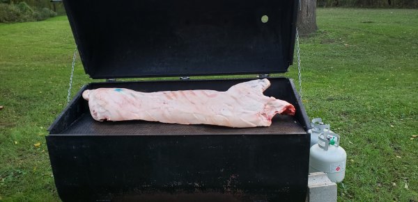 20191004_183820.jpg