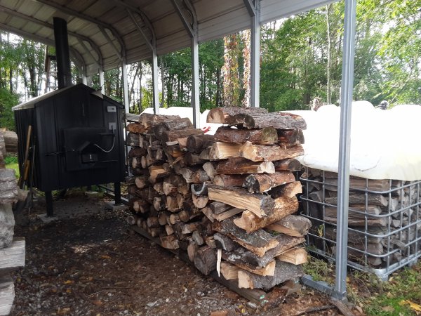 20191005_152916.jpg