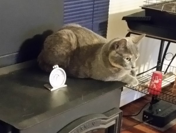 Spot on stove close.jpg