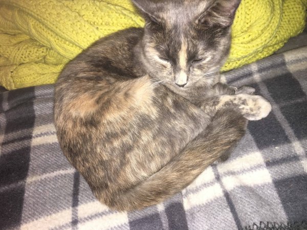 5 Oct 2019 Slash.JPG