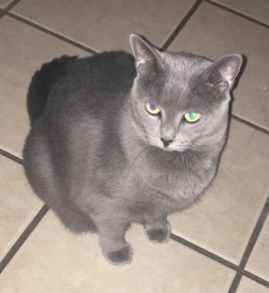 5 Oct 2019 Phoebe.JPG