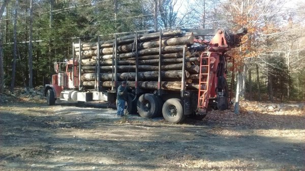 How Many Cords of Wood on a Logging Truck 