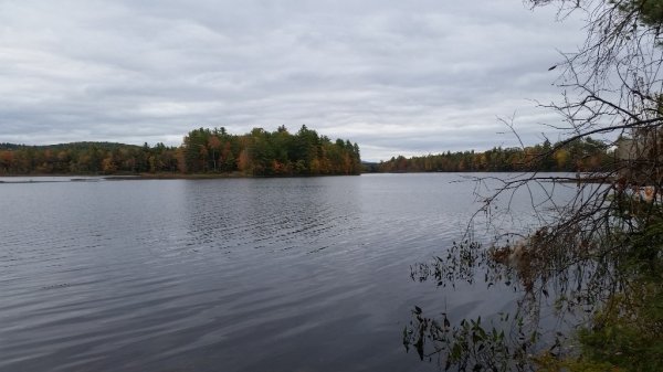 Bennington river island.jpg