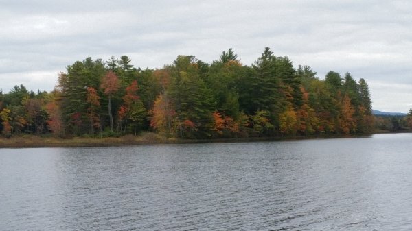 Bennington river island-close.jpg