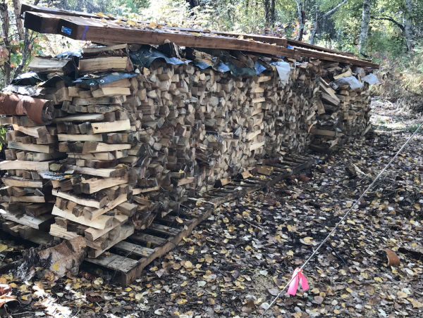 Screen Shot 2019-10-10 at 11.59.49 AM.png