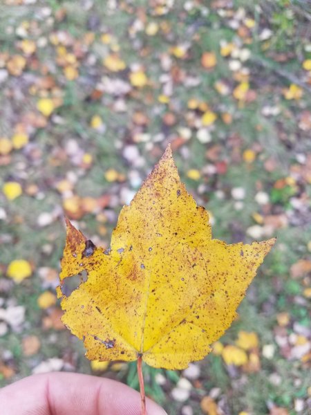 20191012_121916.jpg