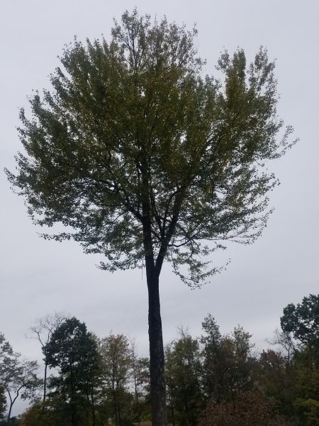 20191012_121941.jpg