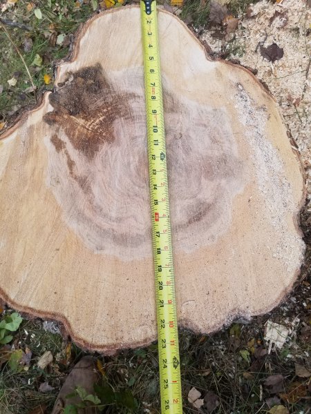 20191012_133619.jpg