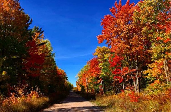 County road in UP.jpg