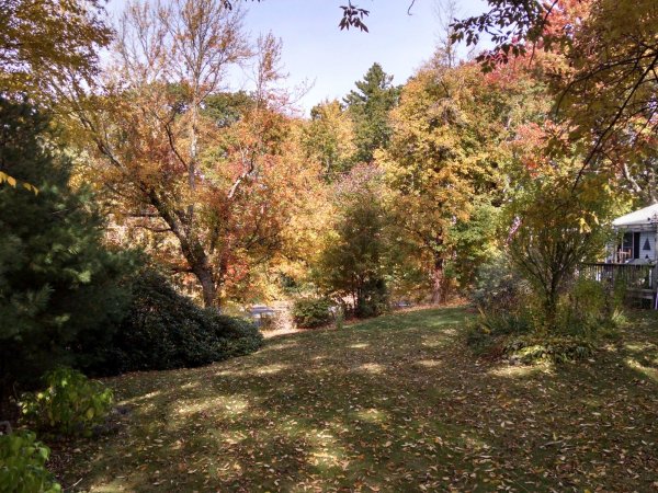 IMG_20191016_103849347_HDR.jpg