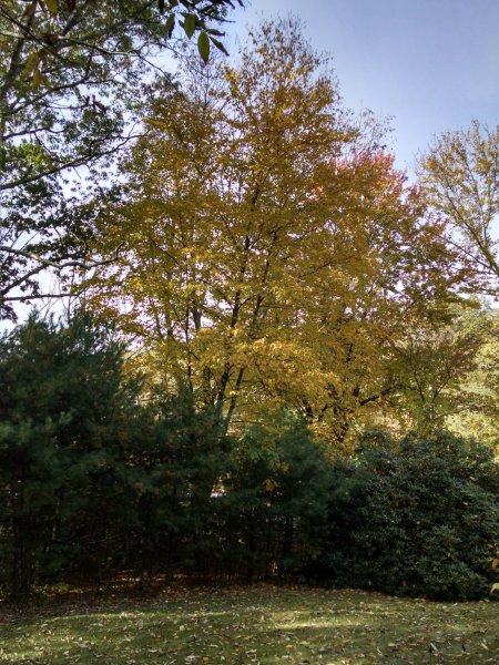 IMG_20191016_103945623_HDR.jpg