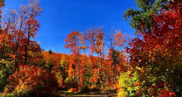 Let's go hunting.jpg