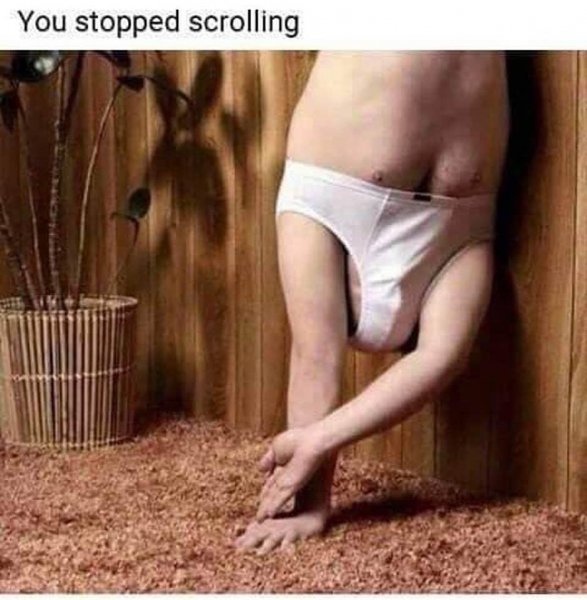 k5Og6Ze.jpg