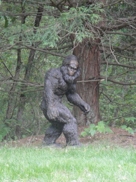 squatch-3.JPG