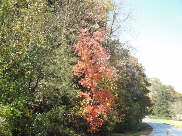 DSC03551.JPG