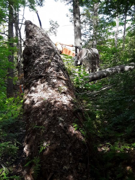 20190915_144315.jpeg