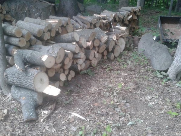 20140712_155630.jpg