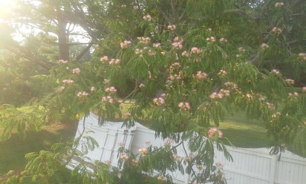 PHOTO_20140712_190901.jpg