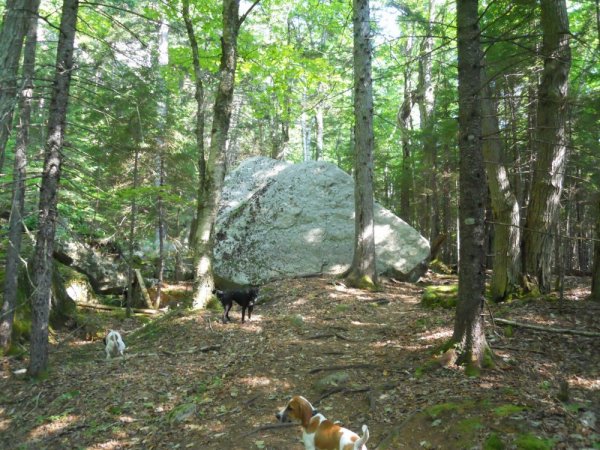 big boulder.JPG