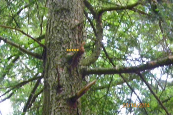 100_9570.JPG