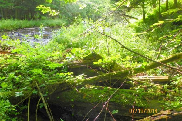 100_9612.JPG