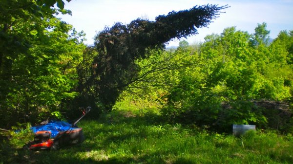 100_0008.JPG