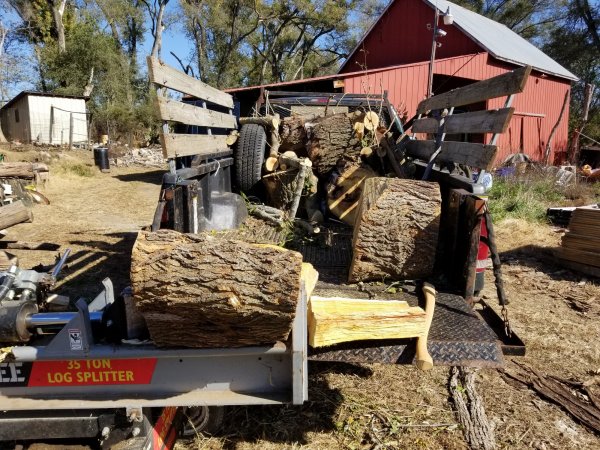 Starting bigger pieces.jpg