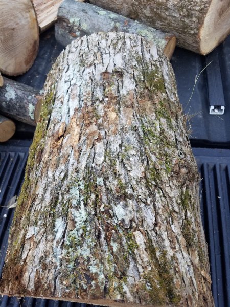 20191028_170242.jpg