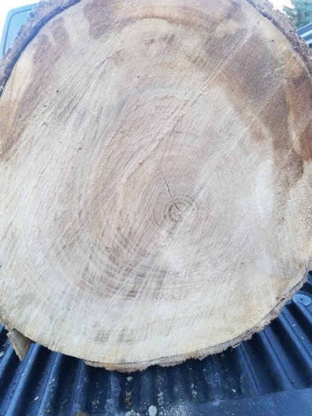 20191028_170250.jpg