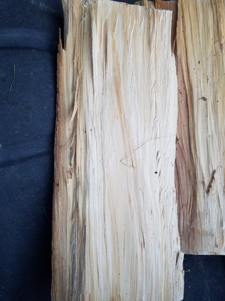 20191028_170302.jpg
