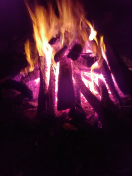 IMG_20191027_203512.jpg