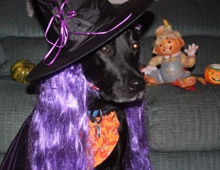 halloween 2019 FB (1).jpg