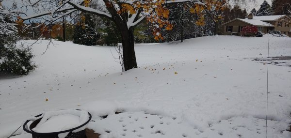 20191031_171305.jpg