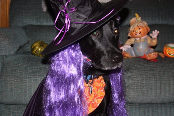 IMG_6757.JPG