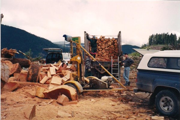 wood gathering (2).jpg