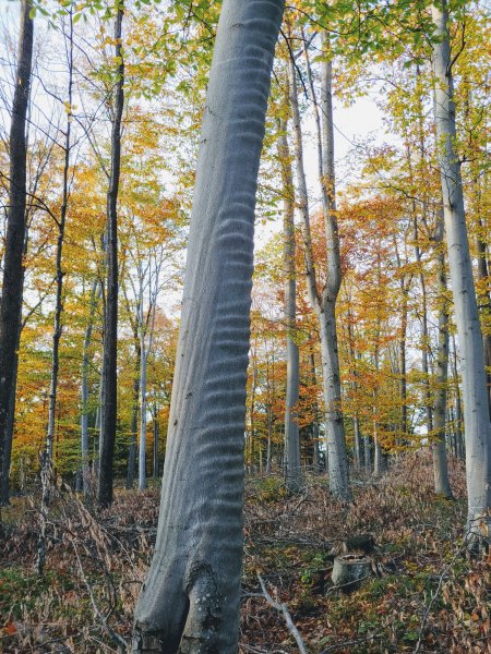 20191020_172224~2.jpg
