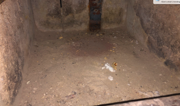 Screen Shot 2019-11-05 at 8.00.25 PM.png