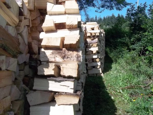 June 11 2018 (2).JPG