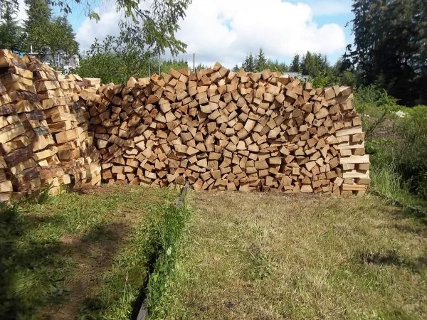 June 11 2018 (3).JPG