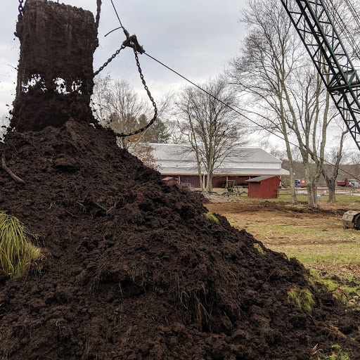 pond excavation -1.jpg