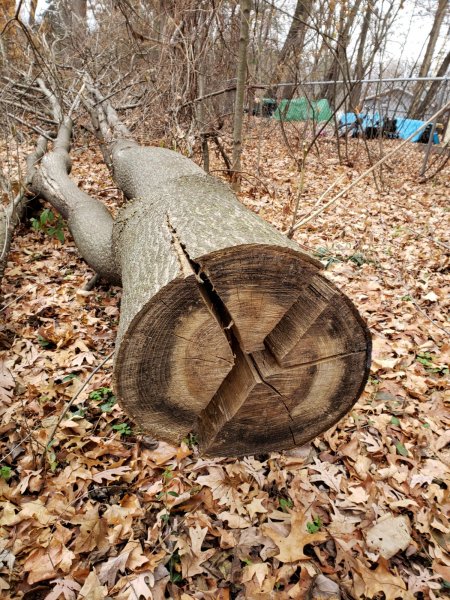 20191121_141624.jpg