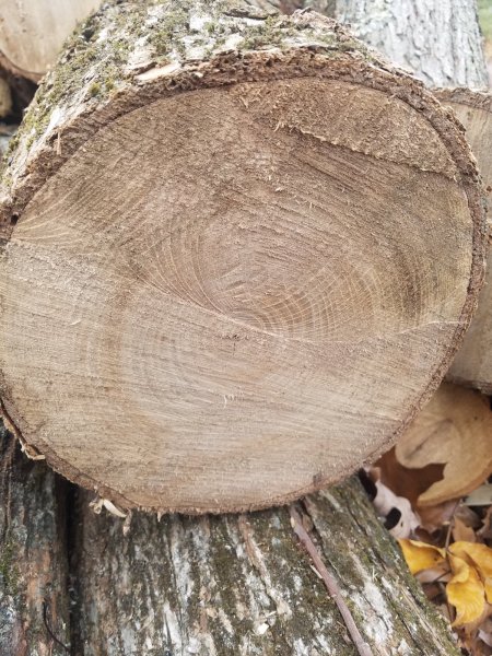 20191123_143339.jpg