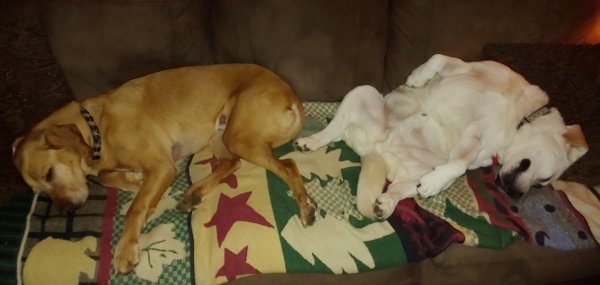 20191122_211505_HDR.jpg