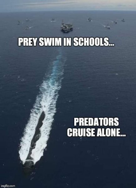 FB_IMG_1561774665973.jpg