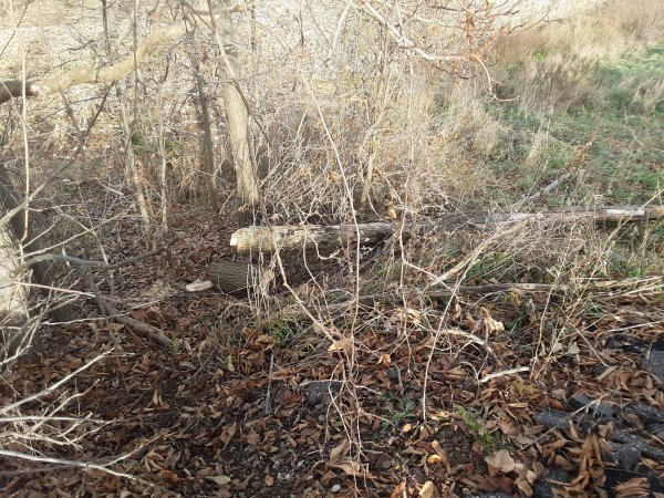 20191124_143112.jpg