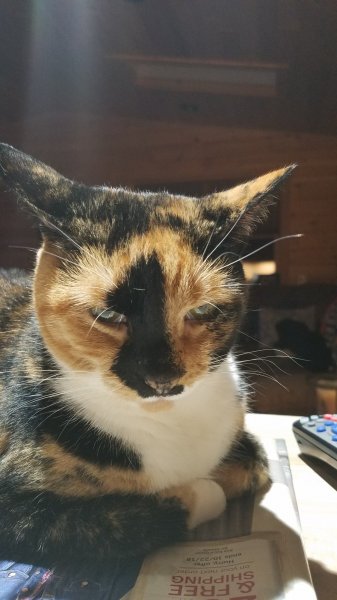 20181001_193026.jpg
