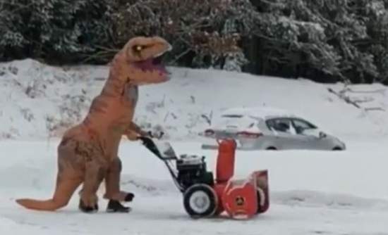 t_rex_snow.JPG