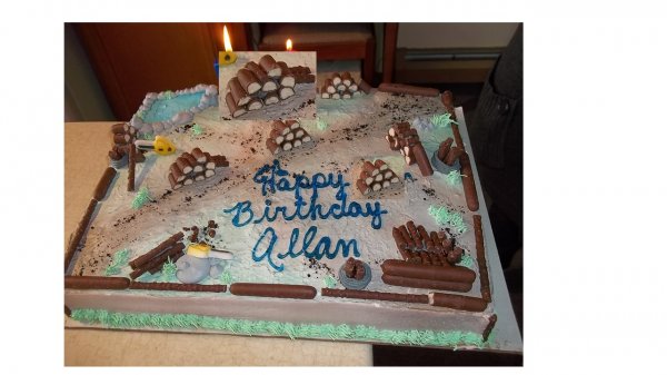 Allan's cake.jpg