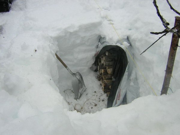 Digging for the wood pile.jpg